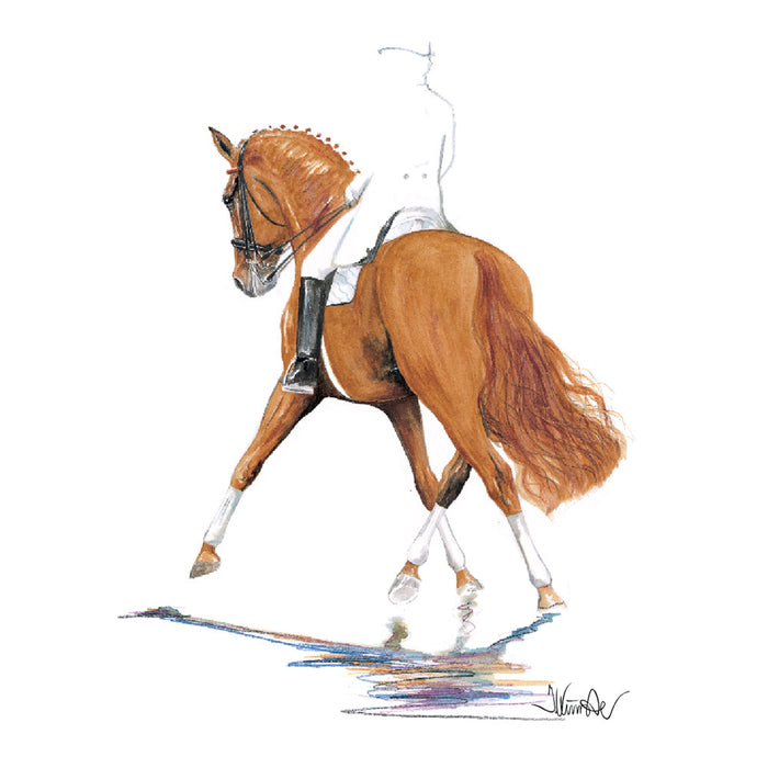 Bernstein (Dressage) Horse 19.75" X 27.5" Print