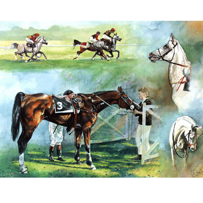 Arab Racing Print