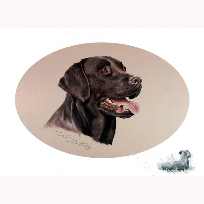 Black Labrador Print