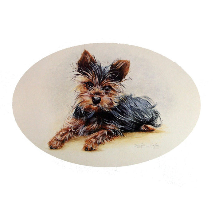 Yorkie Puppy Print