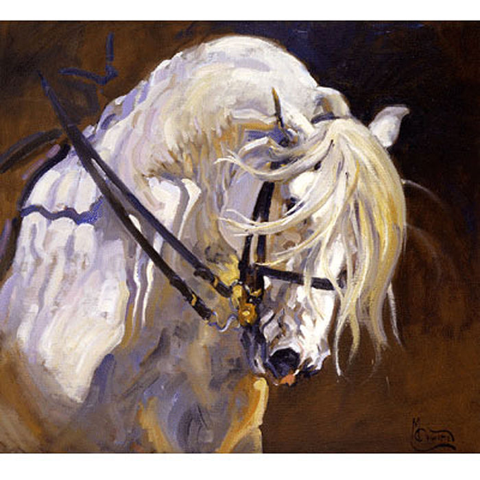 Andalusian Stallion Art Print