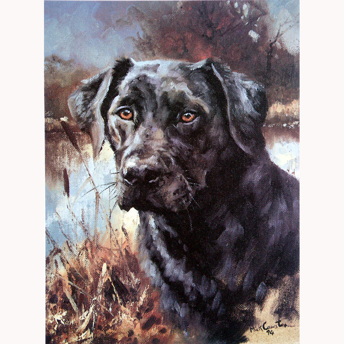 Black Lab (Head) Print