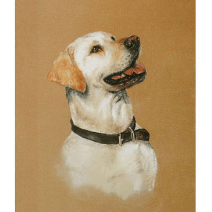 Yellow Lab Study Print