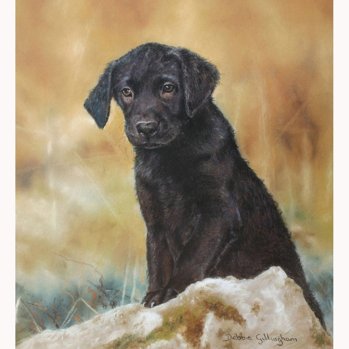 The Lost Boy (Blk Lab.Pup) Print