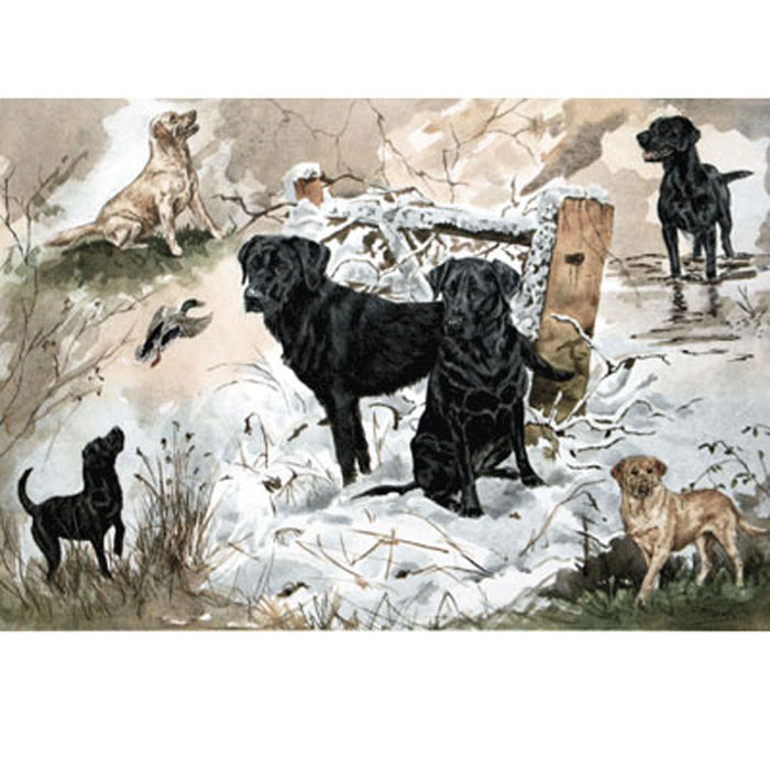 Anticipation Labradors Print