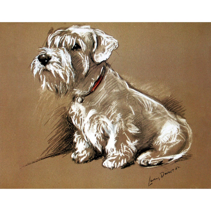 Bundle (Sealyham Terrier) Print