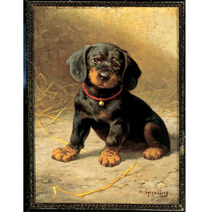 A Puppy Art Print