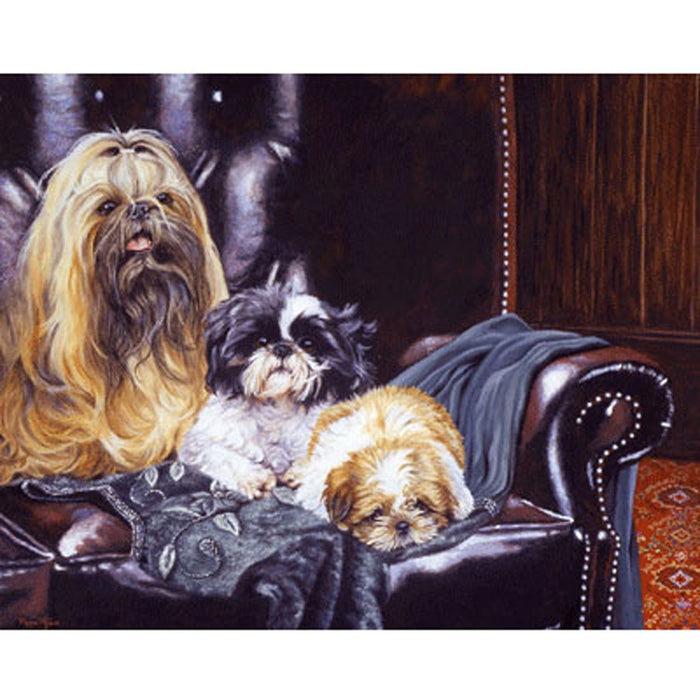 Three's A Crowd (Shih Tzu) Print