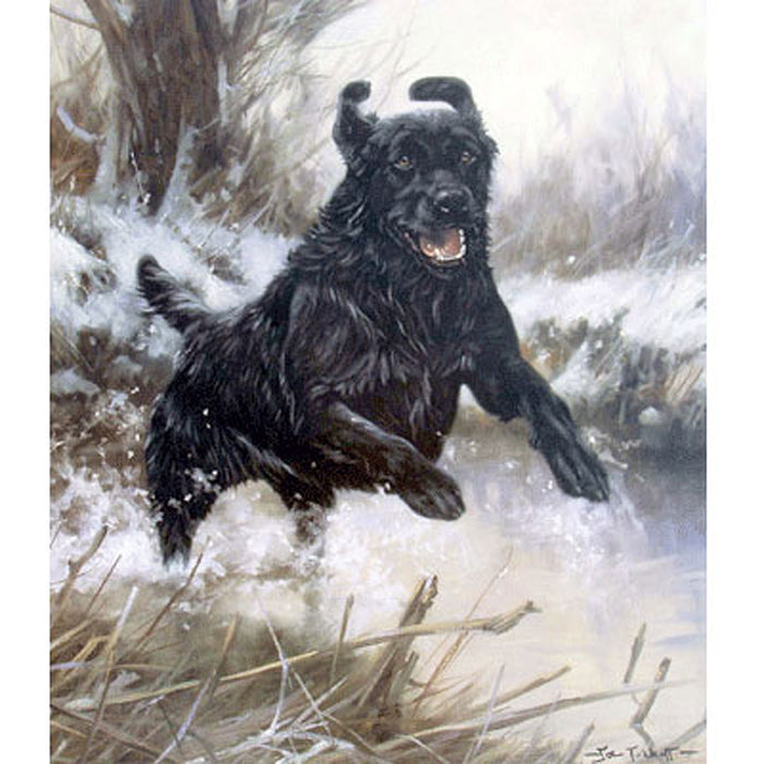 Action Man (Black Lab) Art Print