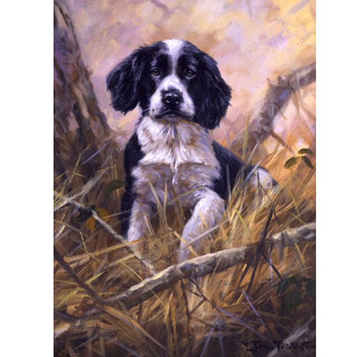 A Little Lost (Black & White Spaniel) Print