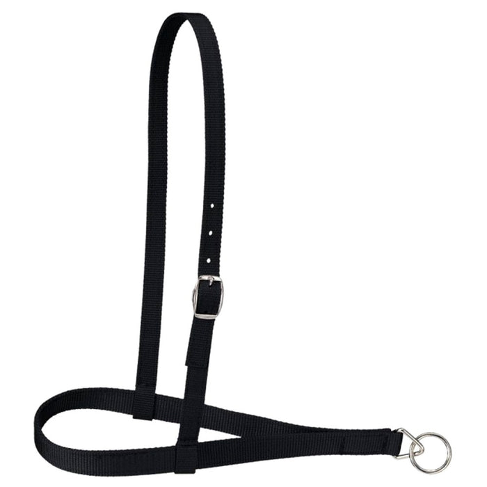 Royal King Nylon Web Noseband