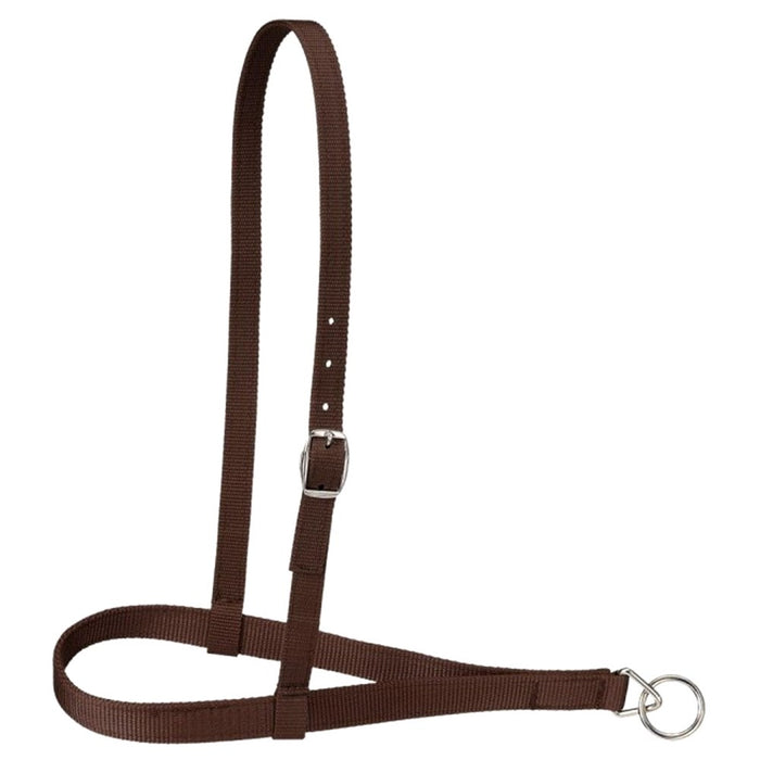 Royal King Nylon Web Noseband