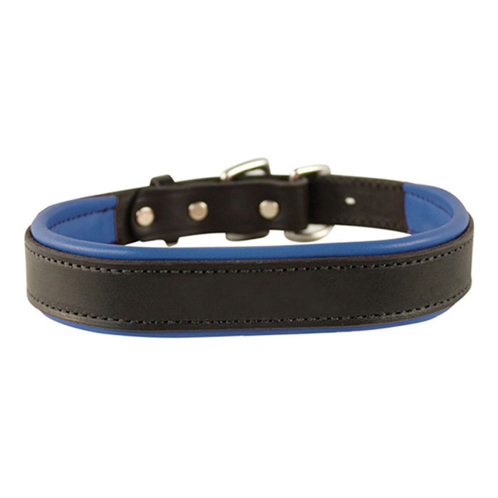 Padded Leather Dog Collar - Black