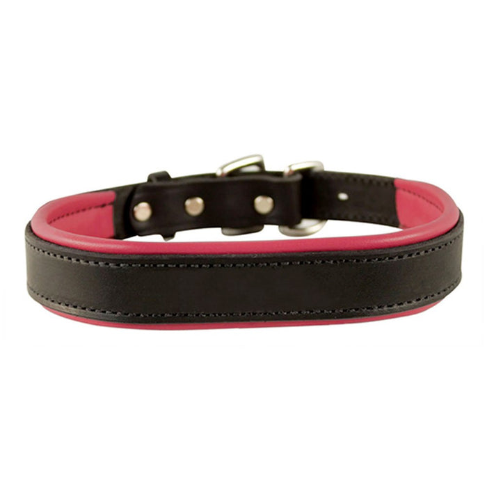 Padded Leather Dog Collar - Black