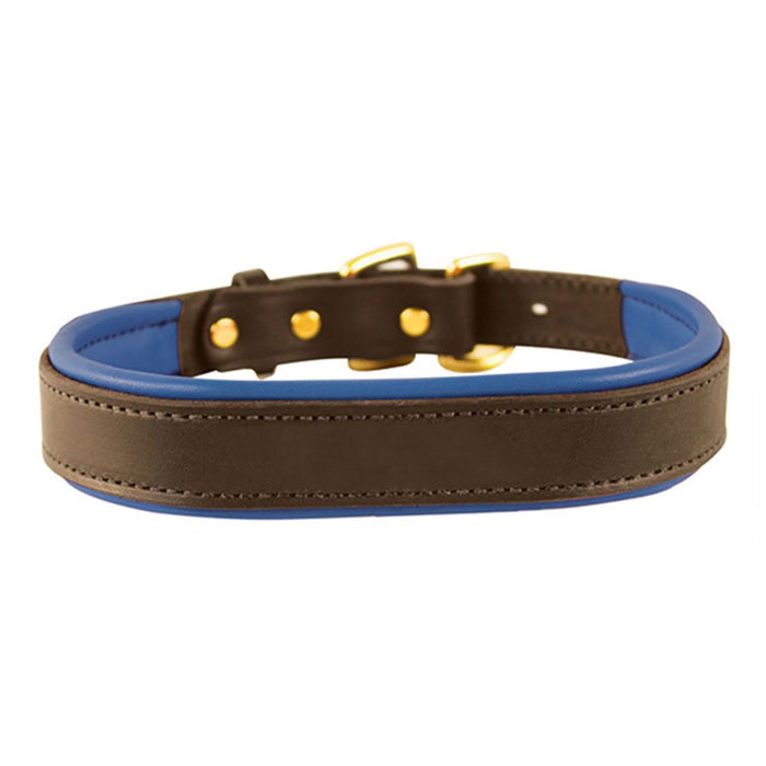 Padded Leather Dog Collar - Havana