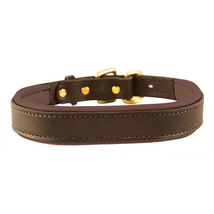 Padded Leather Dog Collar - Havana