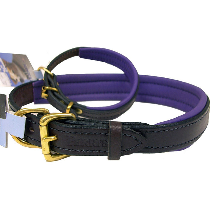 Padded Leather Dog Collar - Havana