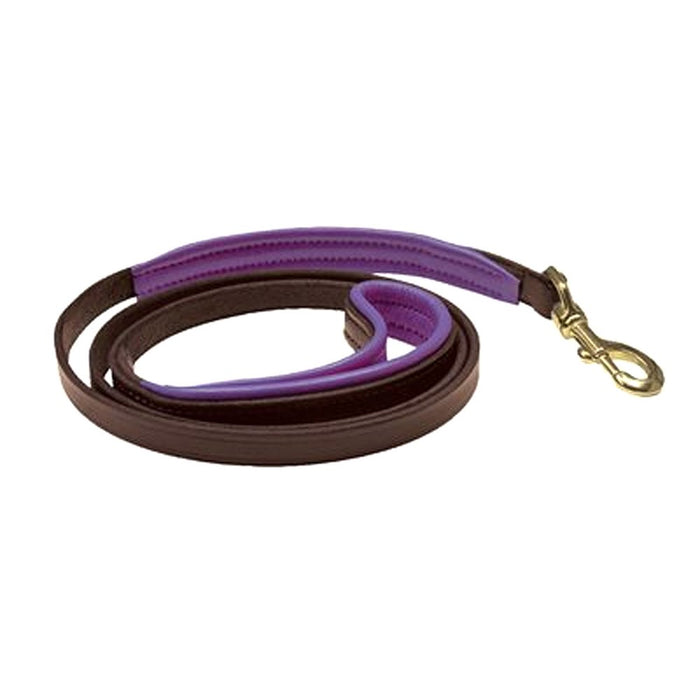 Skinny Padded Leather Dog Leash 1/2" x 5'