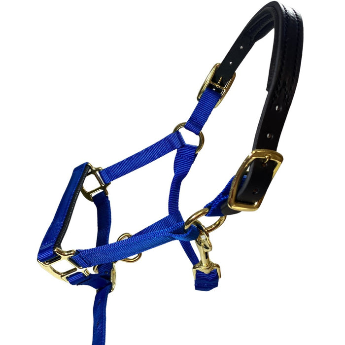 Premium Nylon Breakaway Halter with Padded Crown/Nose