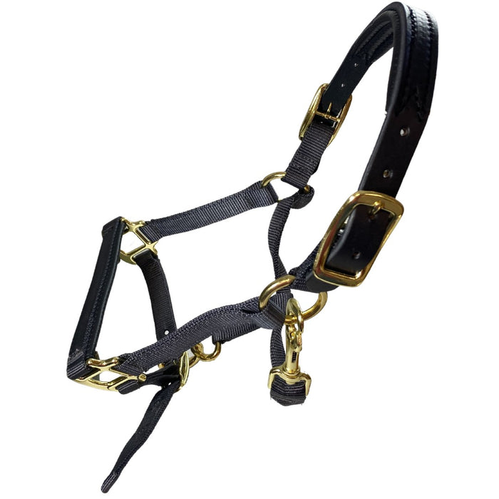 Premium Nylon Breakaway Halter with Padded Crown/Nose