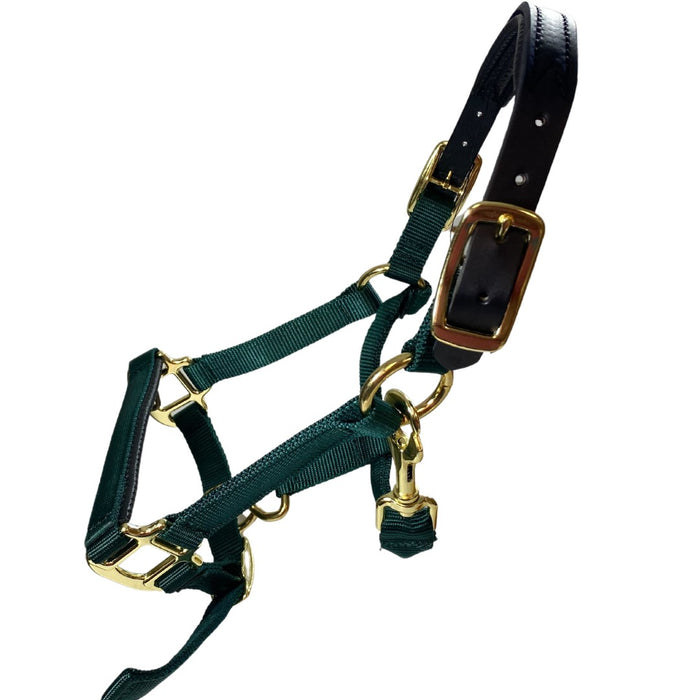 Premium Nylon Breakaway Halter with Padded Crown/Nose