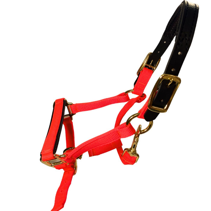 Premium Nylon Breakaway Halter with Padded Crown/Nose