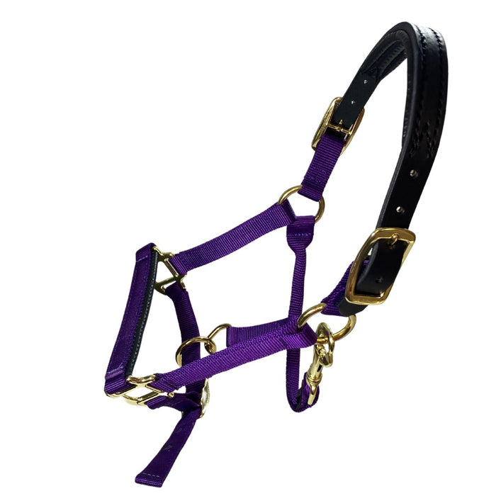 Premium Nylon Breakaway Halter with Padded Crown/Nose