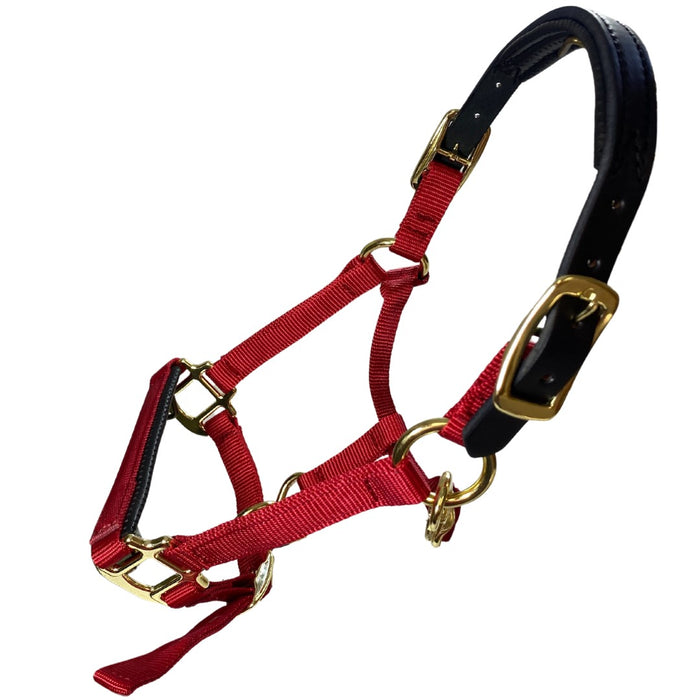 Premium Nylon Breakaway Halter with Padded Crown/Nose