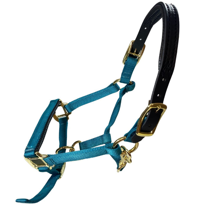 Premium Nylon Breakaway Halter with Padded Crown/Nose