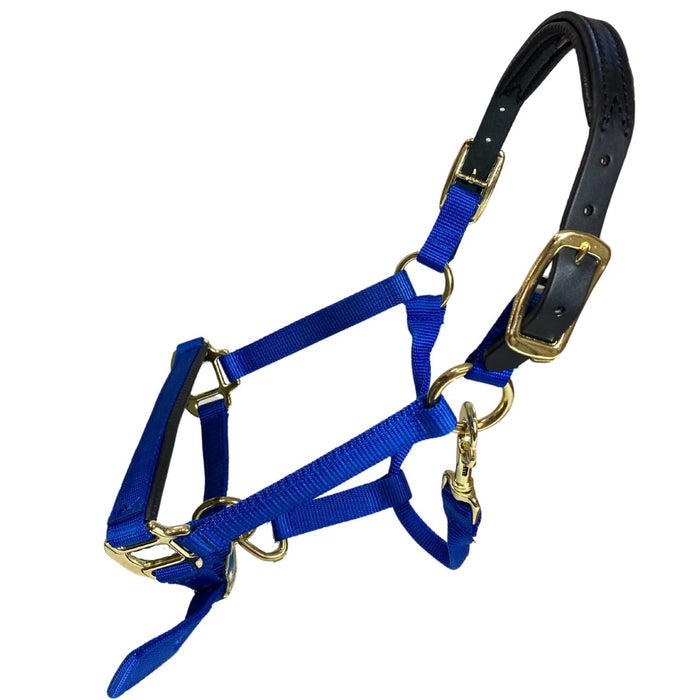 Premium Nylon Breakaway Halter with Padded Crown/Nose