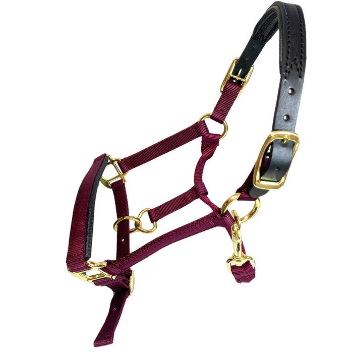 Premium Nylon Breakaway Halter with Padded Crown/Nose