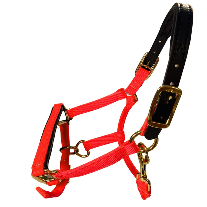 Premium Nylon Breakaway Halter with Padded Crown/Nose