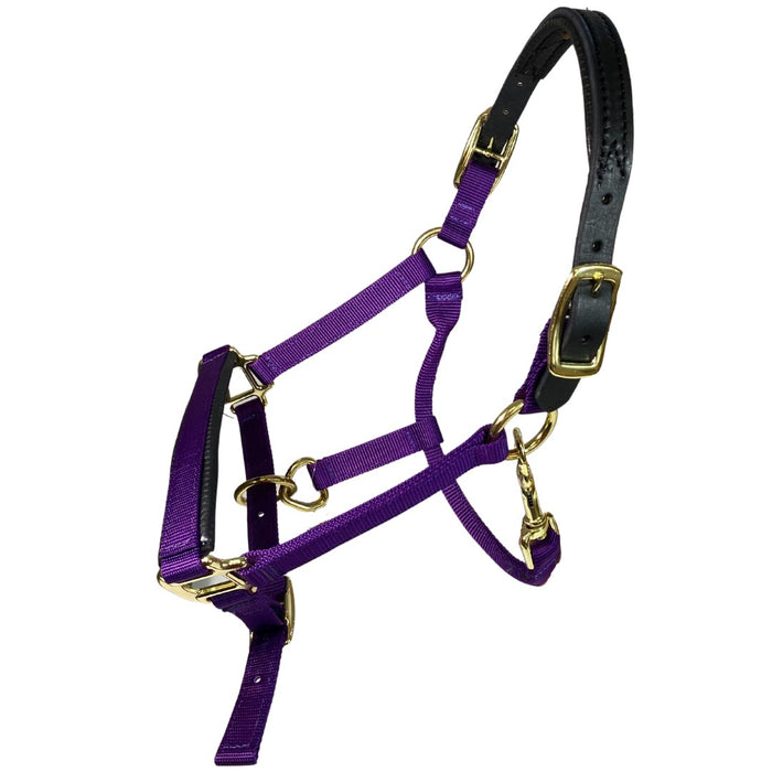 Premium Nylon Breakaway Halter with Padded Crown/Nose