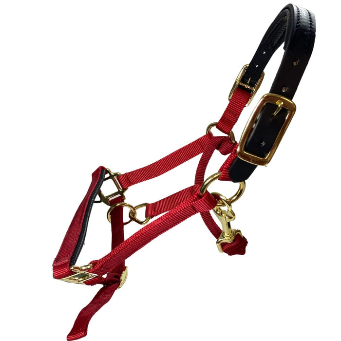 Premium Nylon Breakaway Halter with Padded Crown/Nose