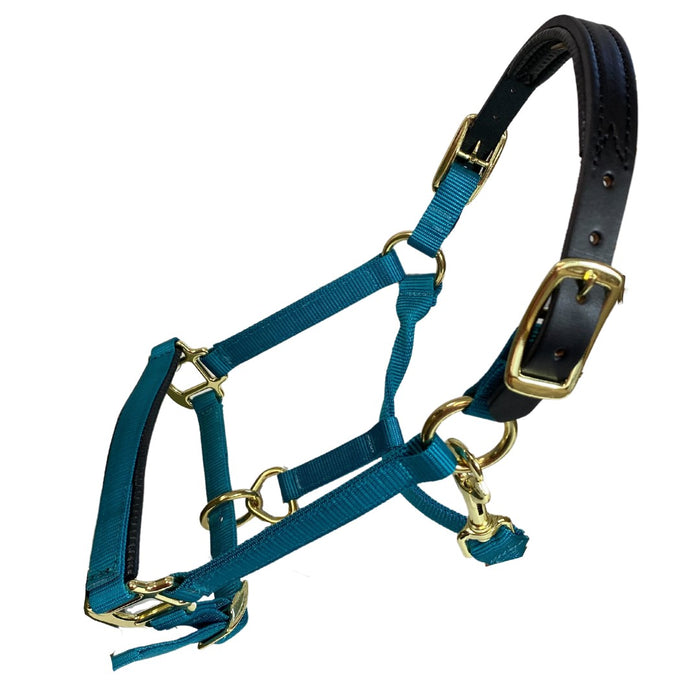 Premium Nylon Breakaway Halter with Padded Crown/Nose