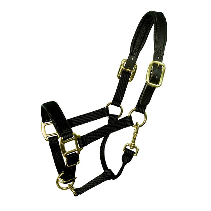 Premium Nylon Breakaway Halter with Padded Crown/Nose