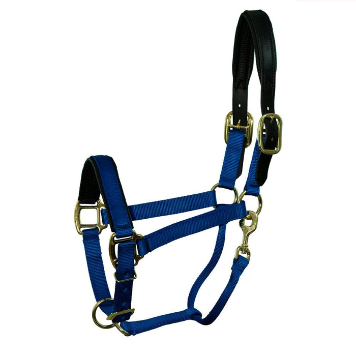 Premium Nylon Breakaway Halter with Padded Crown/Nose