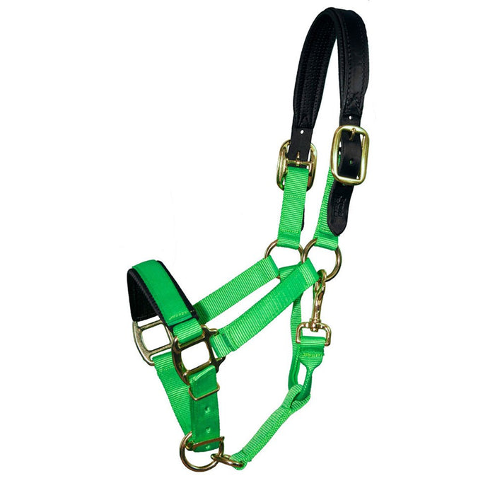 Premium Nylon Breakaway Halter with Padded Crown/Nose