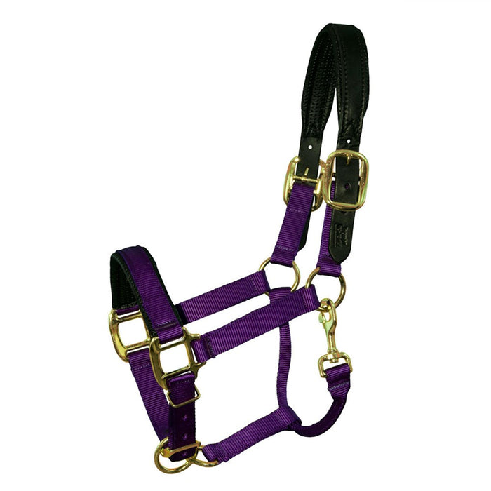 Premium Nylon Breakaway Halter with Padded Crown/Nose