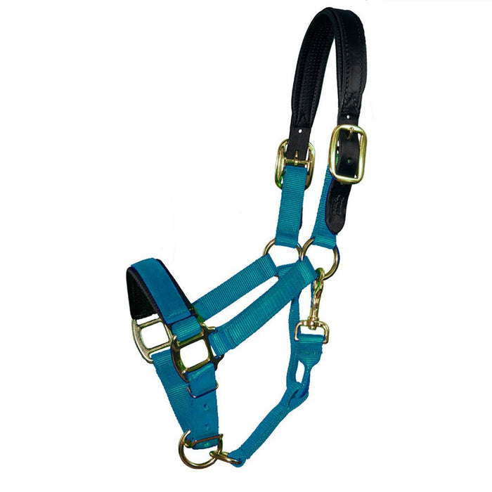 Premium Nylon Breakaway Halter with Padded Crown/Nose