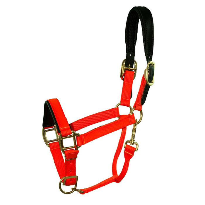 Premium Nylon Breakaway Halter with Padded Crown/Nose