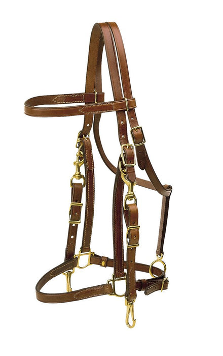 Tory Leather Halter Bridle Combo with Brass Hardware